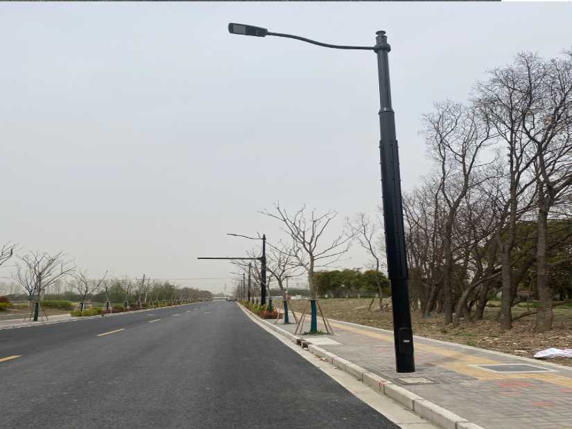 恭城瑶族自治县上海综合杆 太阳能路灯工程